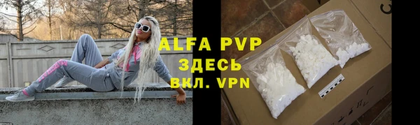 крисы Алзамай