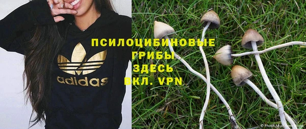 крисы Алзамай