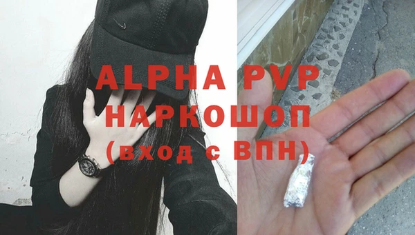крисы Алзамай