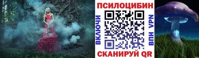 где можно купить наркотик  Рязань  блэк спрут как зайти  Галлюциногенные грибы мухоморы 